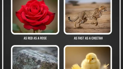 Examples for Similes